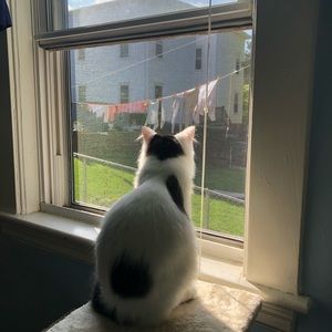 Meet your Posher, Margaret